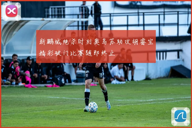 新鹏城绝杀时刻奥乌苏助攻胡睿宝精彩破门比赛随即终止